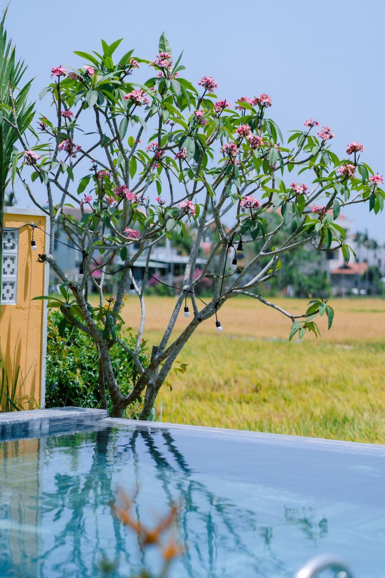 Bs Jade Home Hội An Extérieur photo